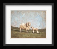 Sheep in the Pasture I Framed Print