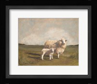 Sheep in the Pasture II Framed Print
