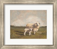 Sheep in the Pasture II Fine Art Print