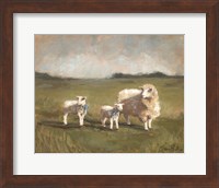 Sheep in the Pasture III Fine Art Print
