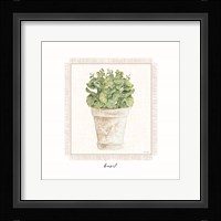 Fresh Basil Fine Art Print