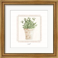 Fresh Mint Fine Art Print