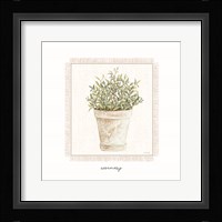 Fresh Rosemary Framed Print