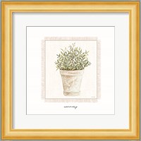 Fresh Rosemary Fine Art Print