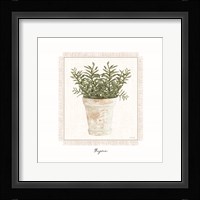 Fresh Thyme Framed Print