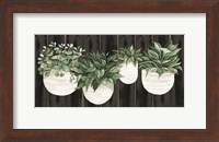 Potted Plants on Barnwood Fine Art Print