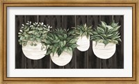 Potted Plants on Barnwood Fine Art Print