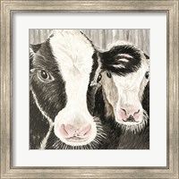 Farm Cows Fine Art Print