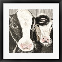 Farm Cows Fine Art Print