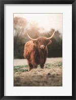 Portrait of a Cow Fine Art Print