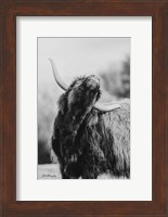 The Itchy Cow I Fine Art Print