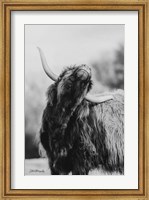 The Itchy Cow I Fine Art Print