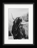The Itchy Cow I Fine Art Print