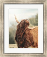 The Itchy Cow II Fine Art Print
