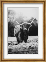 Portrait of a Cow Fine Art Print