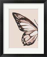 Butterfly Wings I Framed Print