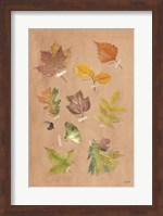 Autumn Leaves Fine Art Print