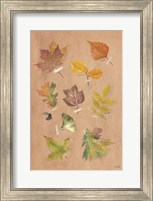 Autumn Leaves Fine Art Print