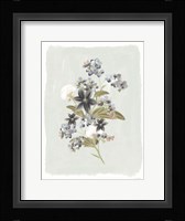 Forget Me Nots Fine Art Print