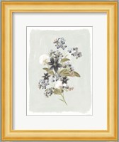 Forget Me Nots Fine Art Print