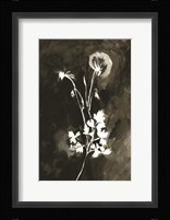 Hanging Out to Dry Fine Art Print