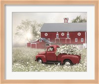Red and White Delight Fine Art Print