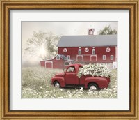 Red and White Delight Fine Art Print