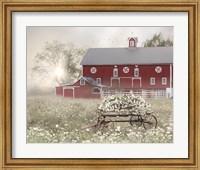 Misty Meadow Barn Fine Art Print