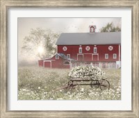 Misty Meadow Barn Fine Art Print