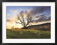 Clark Valley Sunset Fine Art Print