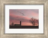 Spring Migration of Snow Geese Fine Art Print
