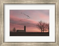 Spring Migration of Snow Geese Fine Art Print