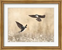 Dance of the Swallows Fine Art Print