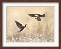 Dance of the Swallows Fine Art Print