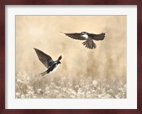 Dance of the Swallows Fine Art Print