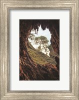 A View Through a Tree Fine Art Print