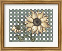 Plaid Sunflowers Fine Art Print