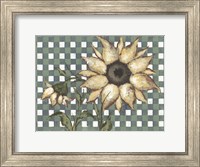 Plaid Sunflowers Fine Art Print