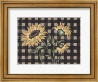 Sunflowers Plaid II Fine Art Print