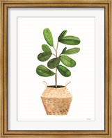 Basket Planter 1 Fine Art Print