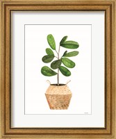 Basket Planter 1 Fine Art Print