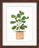 Basket Planter 3 Fine Art Print