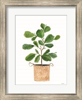 Basket Planter 3 Fine Art Print