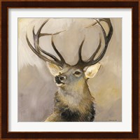 Elk Study 1 Fine Art Print