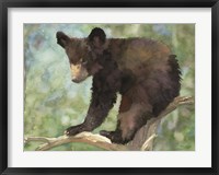 Bear Cub in Tree 2 Fine Art Print