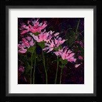 When Evening Comes Fine Art Print