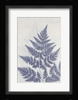 Chevril 1 Fine Art Print