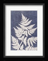 Chevril 3 Fine Art Print