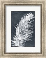 Feather 1 Dark Fine Art Print