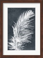 Feather 1 Dark Fine Art Print